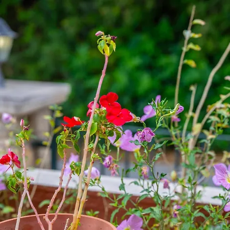 Liogerma Art Deco - 5 Min Drive To Lassi